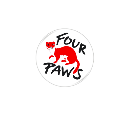 Four paws